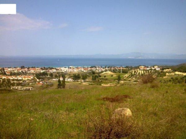 Land in Chalkidiki, Greece, 8 140 sq.m - picture 1