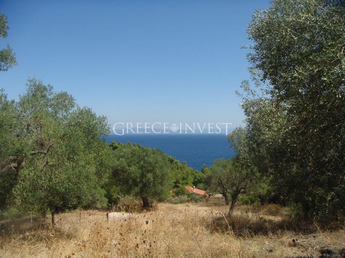 Land in Chalkidiki, Greece, 1 500 sq.m - picture 1