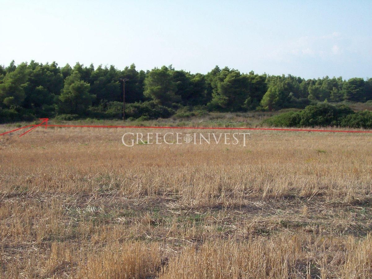 Land in Chalkidiki, Greece, 34 000 sq.m - picture 1
