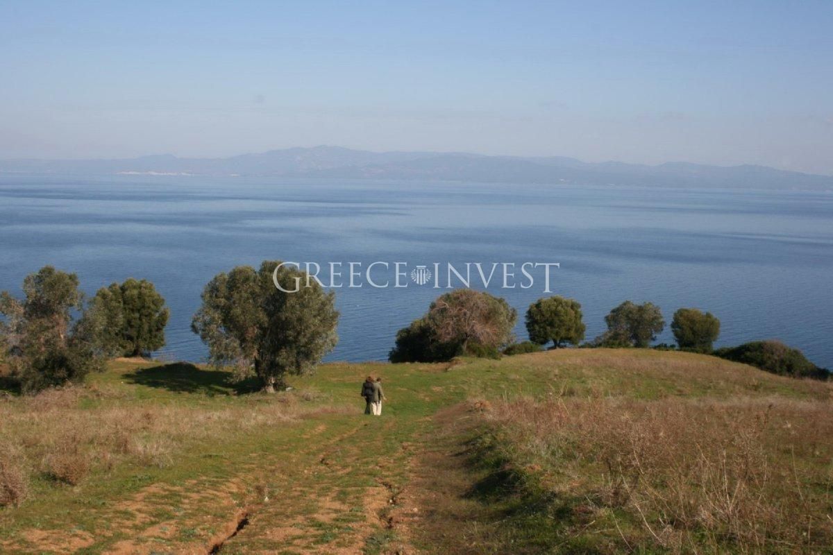 Land in Chalkidiki, Greece, 9 700 sq.m - picture 1