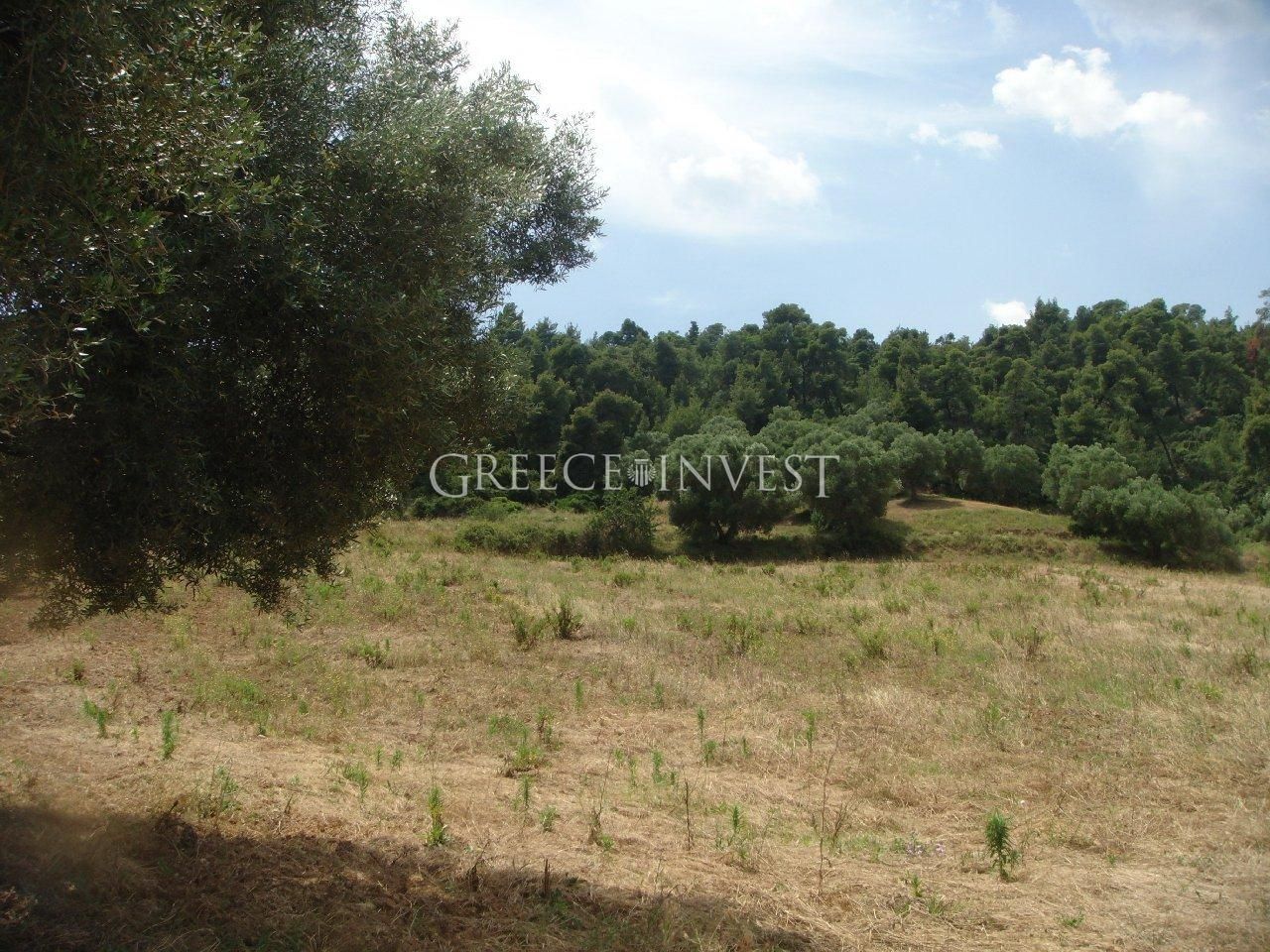 Land in Chalkidiki, Greece, 4 035 sq.m - picture 1