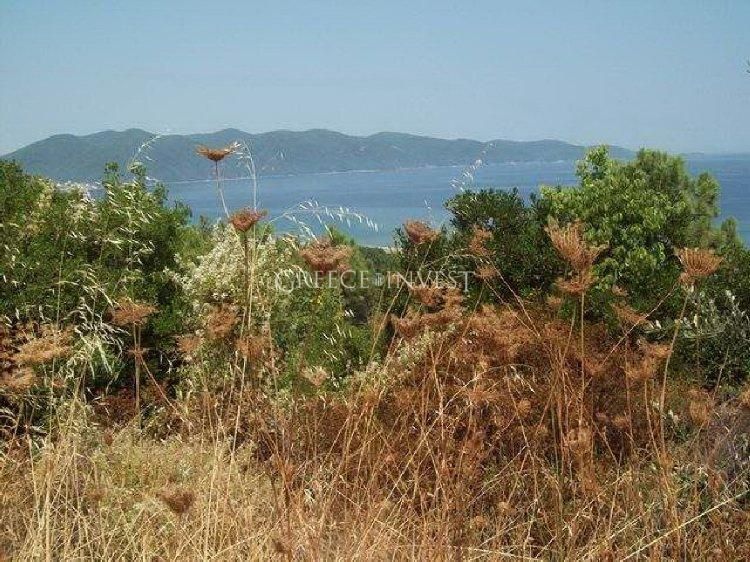 Land in Chalkidiki, Greece, 8 180 sq.m - picture 1