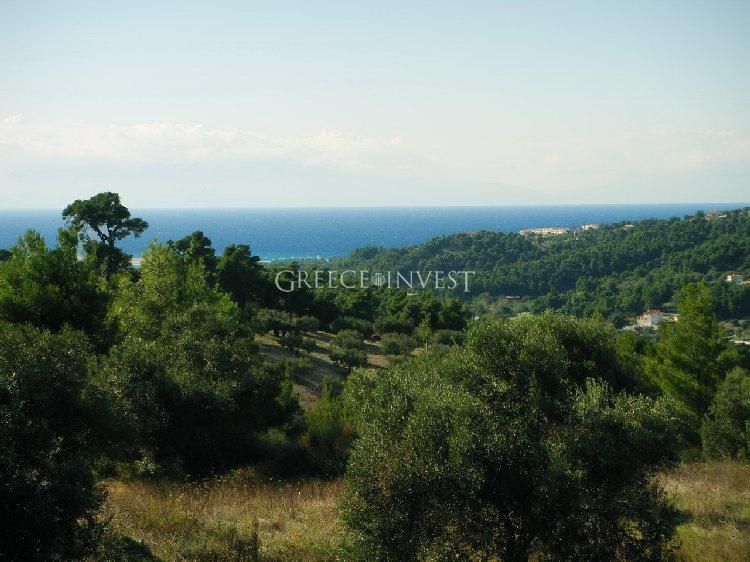 Land in Chalkidiki, Greece, 30 000 sq.m - picture 1