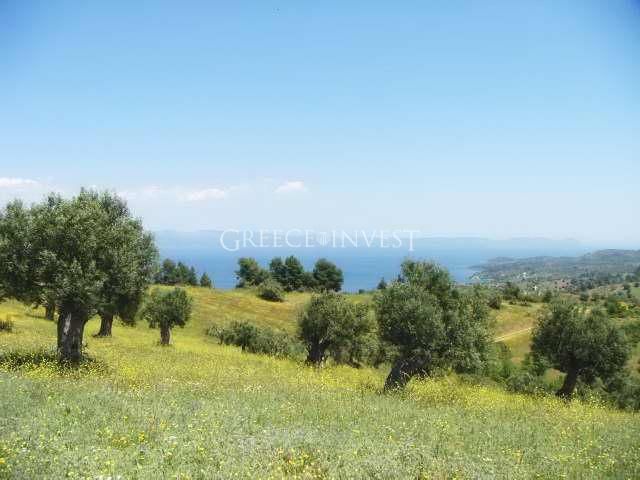 Land in Chalkidiki, Greece, 9 128 sq.m - picture 1