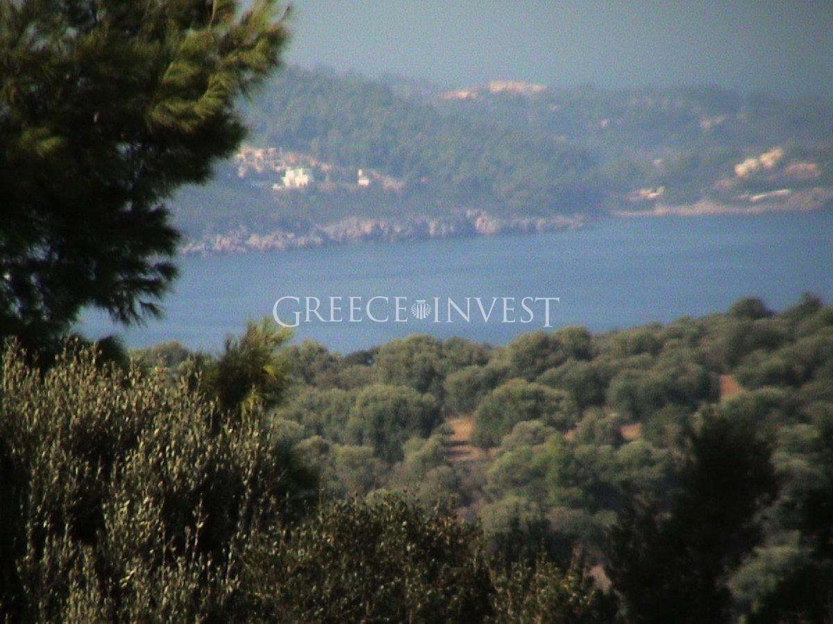Land in Chalkidiki, Greece, 30 500 sq.m - picture 1