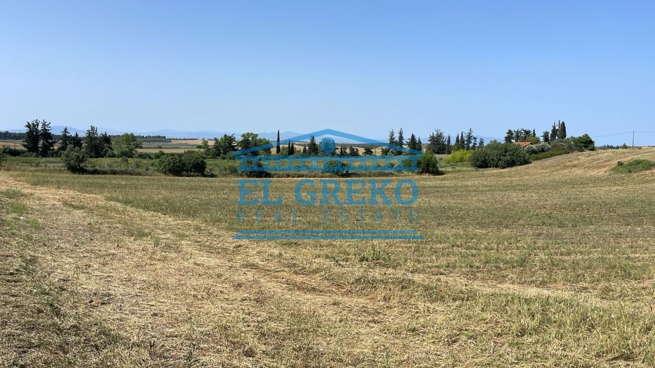 Land in Kassandra, Greece, 5 013 sq.m - picture 1