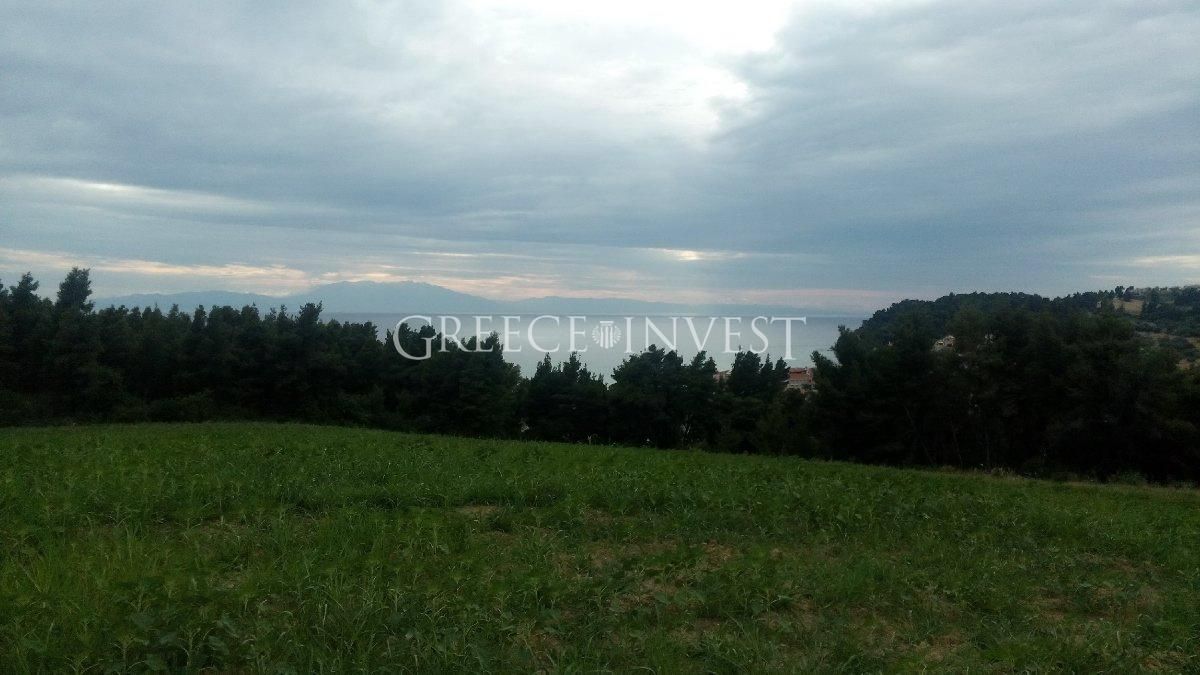 Land in Chalkidiki, Greece, 17 000 sq.m - picture 1