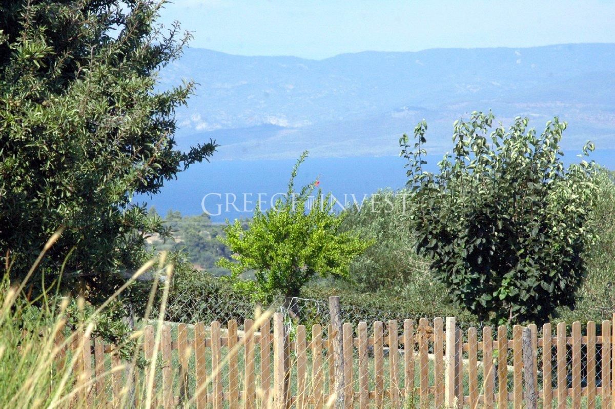 Land in Chalkidiki, Greece, 4 941 sq.m - picture 1