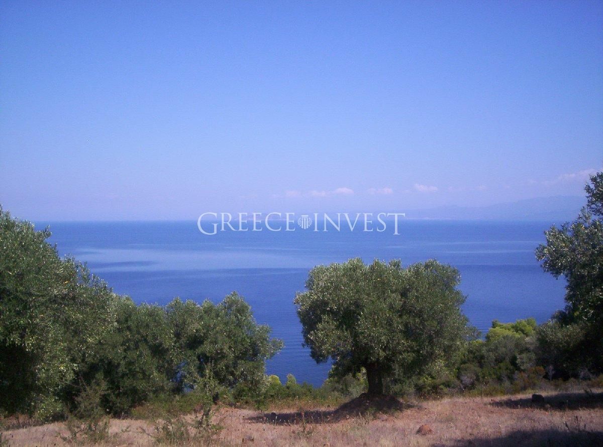 Land in Chalkidiki, Greece, 27 000 sq.m - picture 1