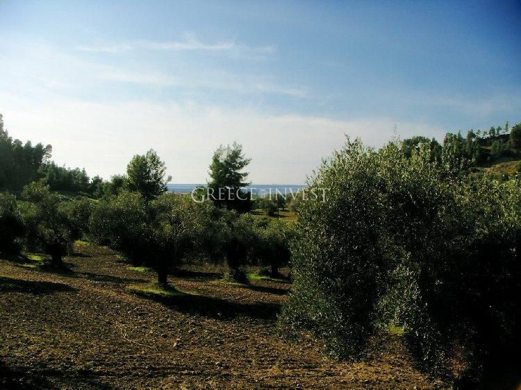 Grundstück in Chalkidiki, Griechenland, 4 870 m2 - Foto 1