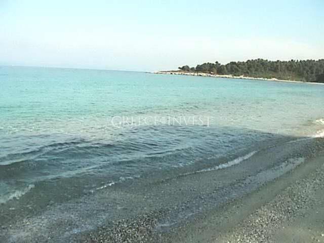 Land in Chalkidiki, Greece, 13 000 sq.m - picture 1