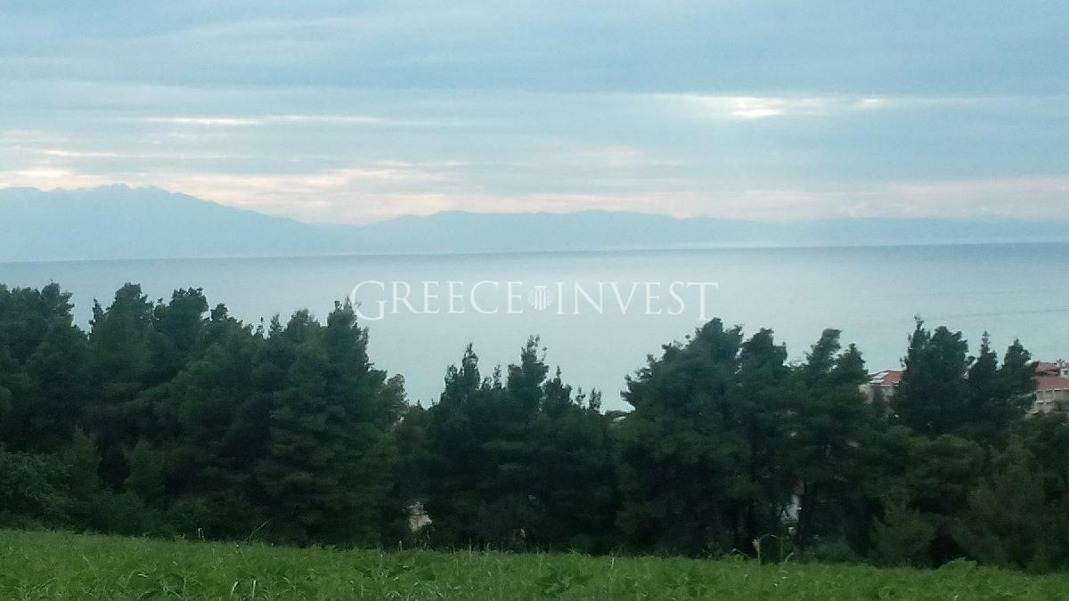 Land in Chalkidiki, Greece, 27 350 sq.m - picture 1