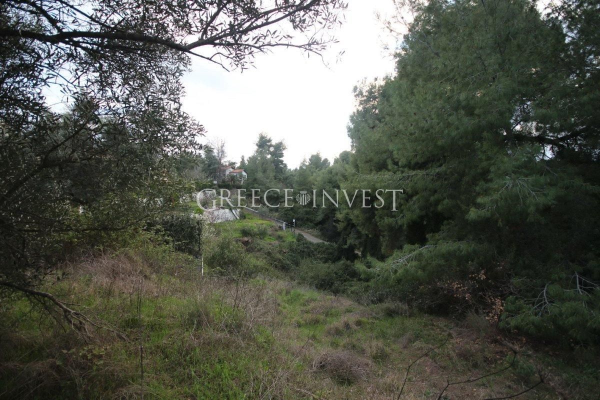 Land in Chalkidiki, Greece, 4 900 sq.m - picture 1