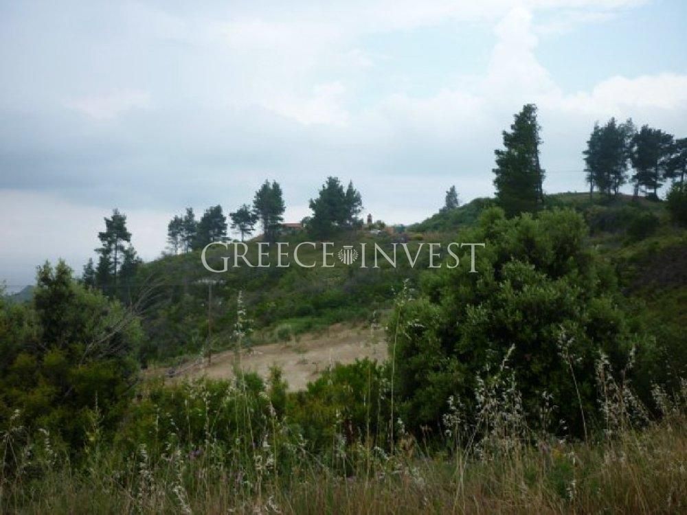 Land in Chalkidiki, Greece, 13 000 sq.m - picture 1