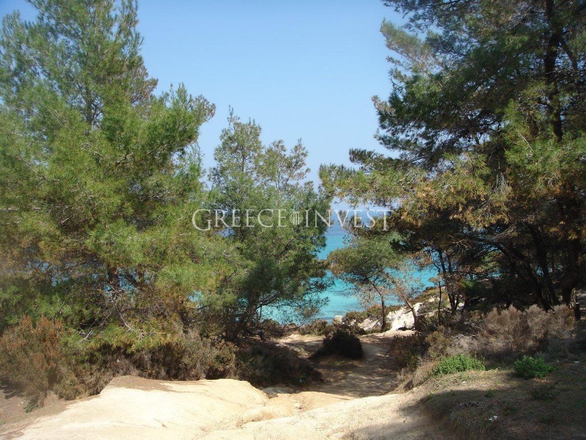 Land in Chalkidiki, Greece, 3 200 000 sq.m - picture 1