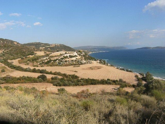 Land in Chalkidiki, Greece, 45 490 sq.m - picture 1