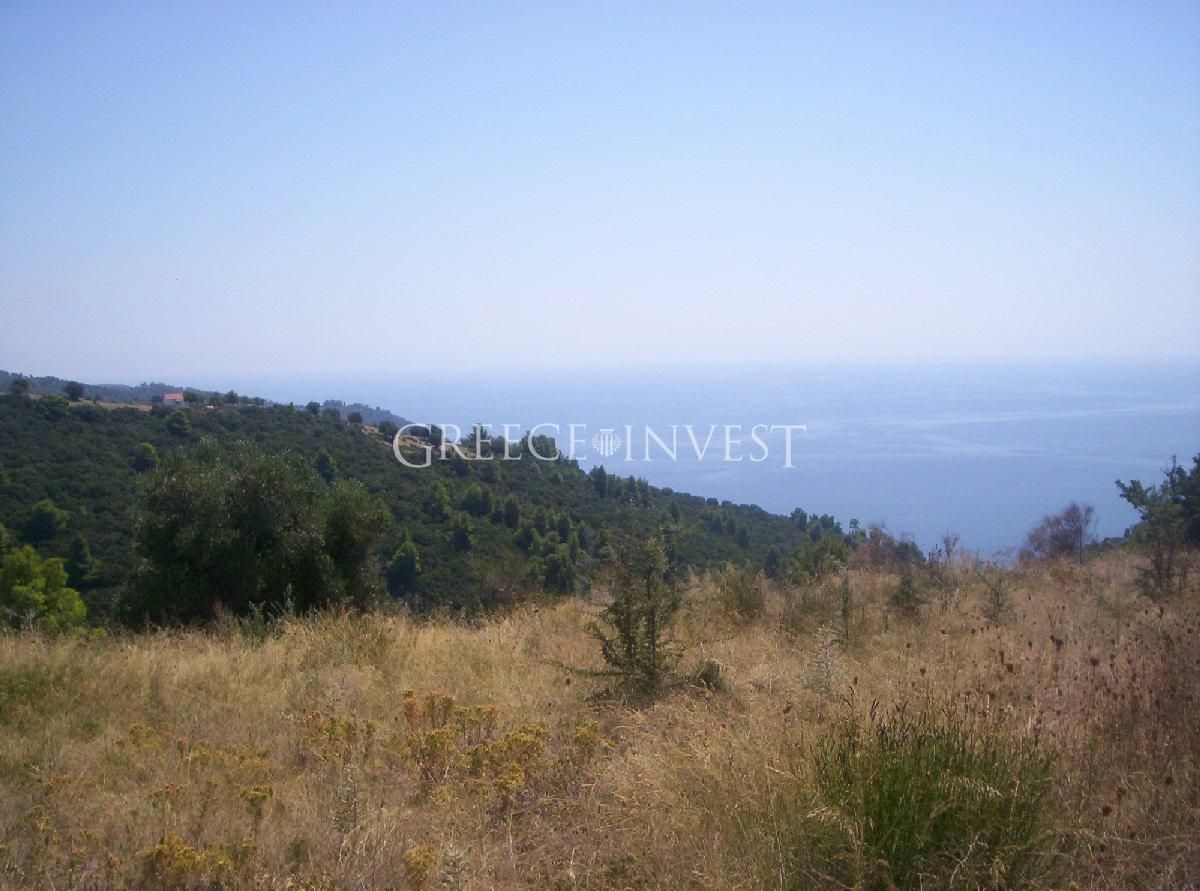 Land in Chalkidiki, Greece, 5 000 sq.m - picture 1