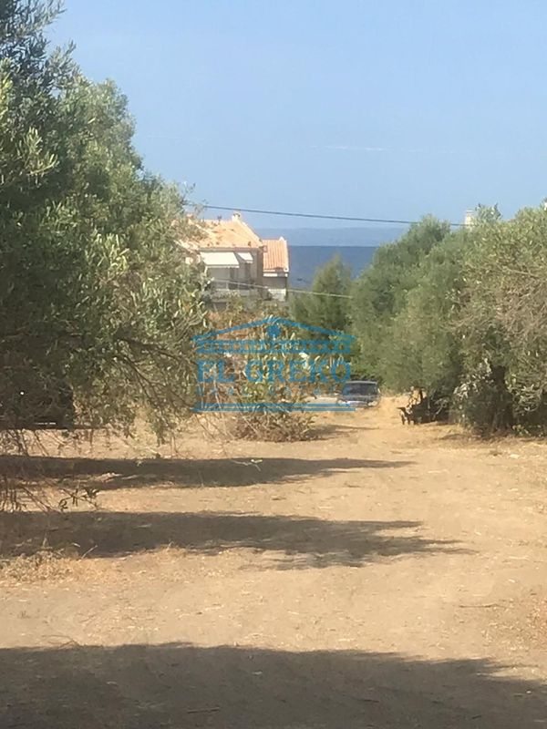 Land in Kassandra, Greece, 1 741.4 sq.m - picture 1