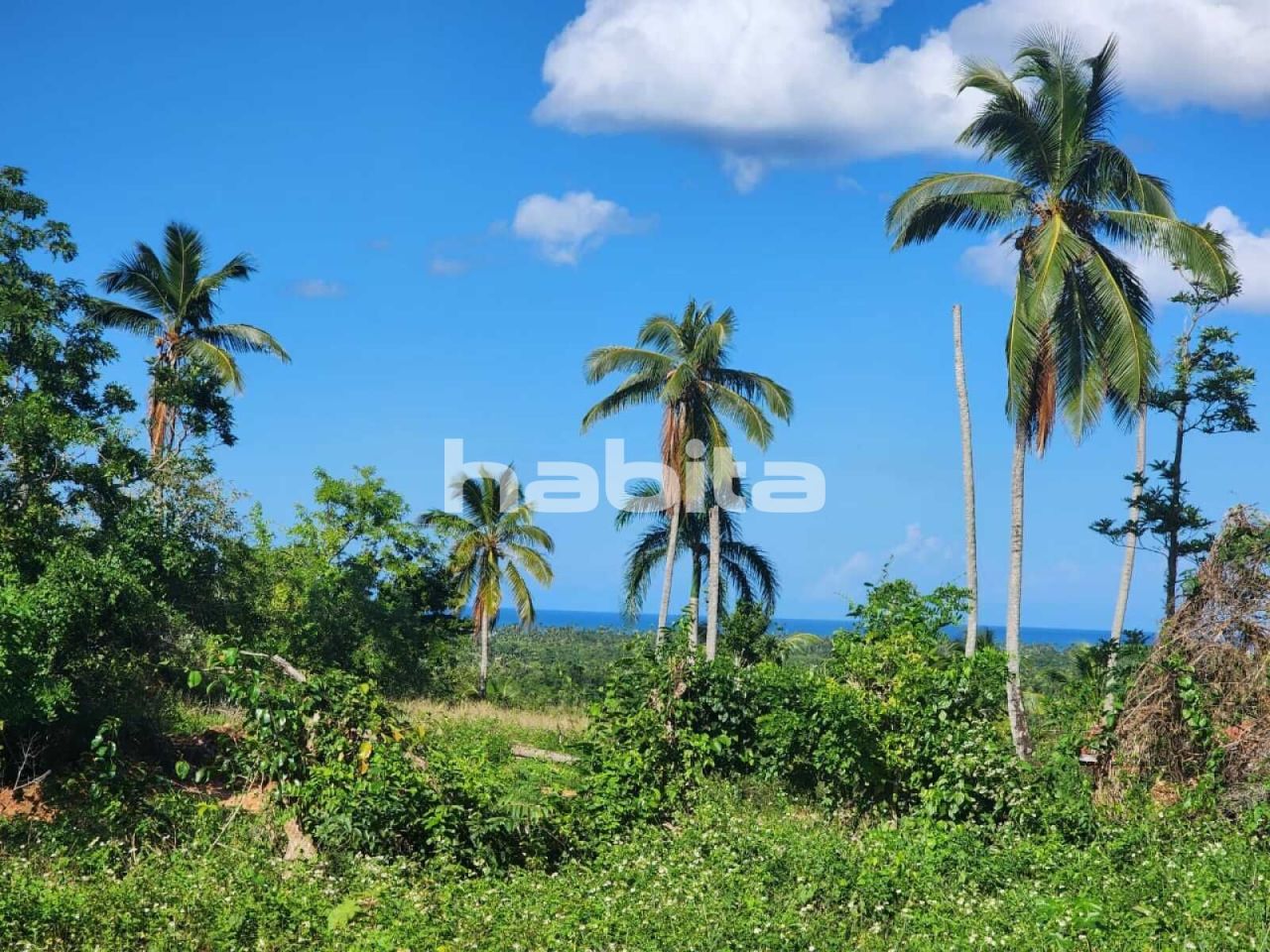 Grundstück in Las Terrenas, Dominikanische Republik, 2 415 m2 - Foto 1
