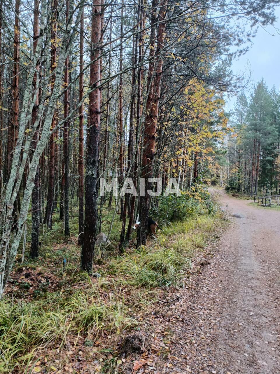 Land in Mantyharju, Finland, 8 330 sq.m - picture 1