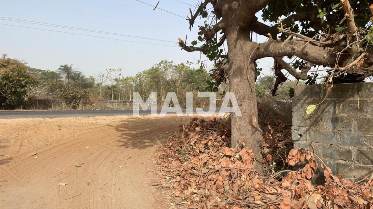 Land Sanyang, Gambia, 2 500 sq.m - picture 1
