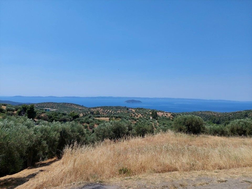 Land in Chalkidiki, Greece, 302 sq.m - picture 1