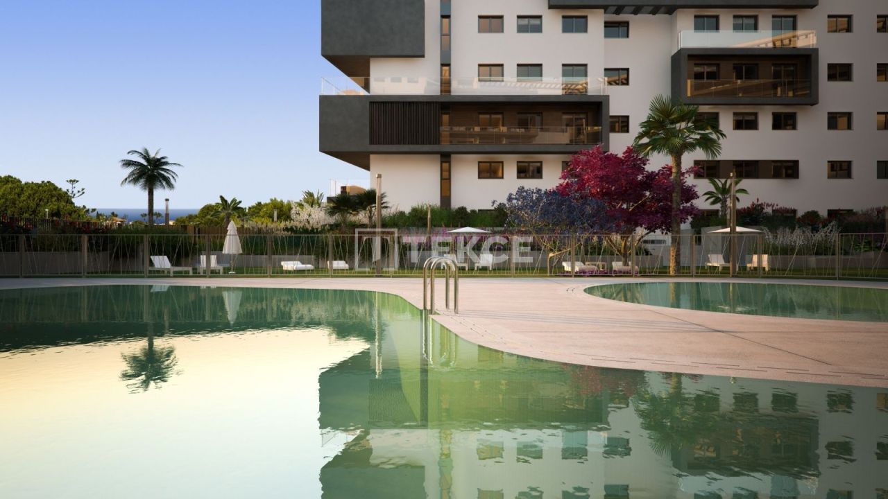 Penthouse in Orihuela, Spanien, 73 m2 - Foto 1