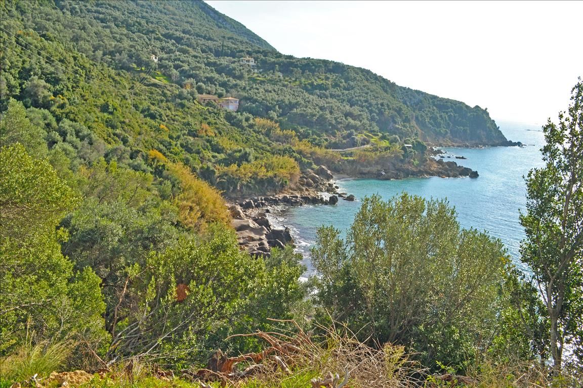 Land in Corfu, Greece, 2 570 sq.m - picture 1