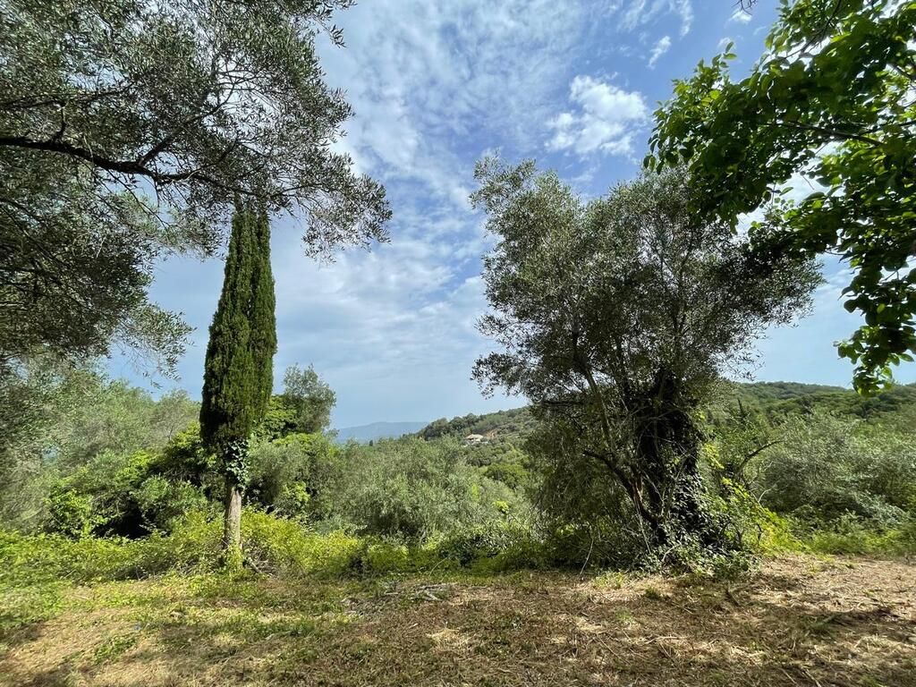 Land in Corfu, Greece, 5 020 m² - picture 1