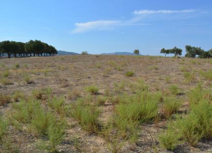 Land for 190 000 euro in Sithonia, Greece