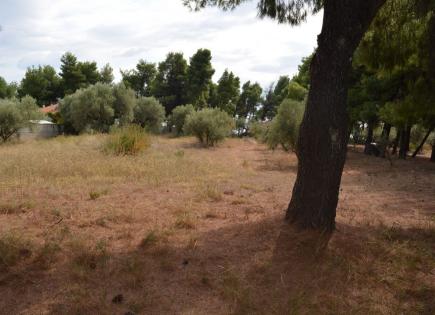 Land for 413 000 euro in Sithonia, Greece