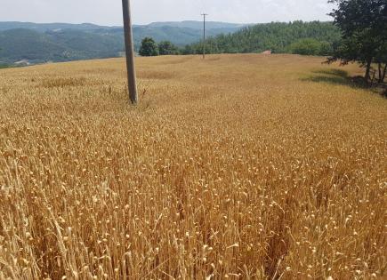 Land for 90 000 euro in Nis, Serbia