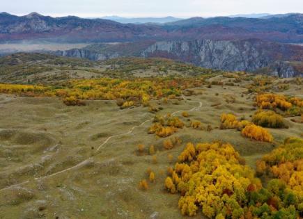 Land for 110 000 euro in Zabljak, Montenegro