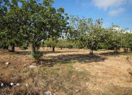 Land for 1 250 000 euro in Paphos, Cyprus
