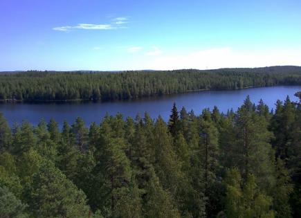 Land for 110 000 euro in Leppavirta, Finland