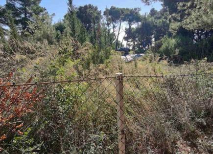 Land for 100 000 euro in Montenegro