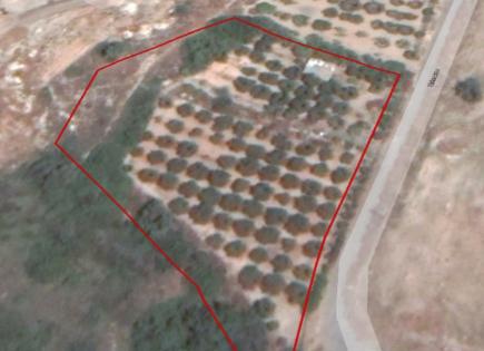 Land for 590 000 euro in Limassol, Cyprus