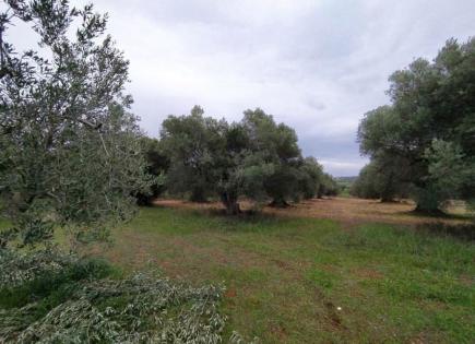 Land for 105 000 euro in Chalkidiki, Greece