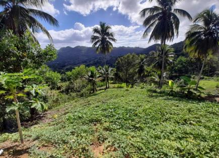 Land for 186 063 euro in Gaspar Hernandez, Dominican Republic