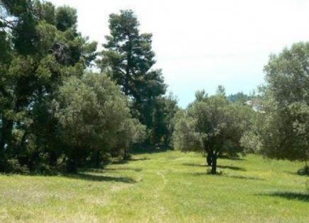 Land for 270 000 euro in Kassandra, Greece