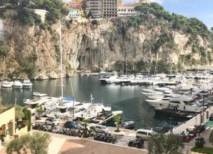 Apartment für 12 800 000 euro in Fontvieille, Monaco