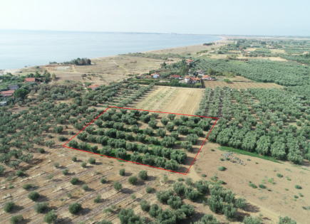 Land for 160 000 euro in Poligiros, Greece
