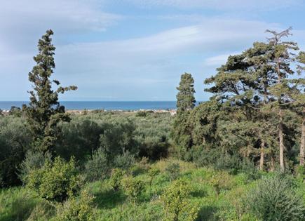 Land for 200 000 euro in Chania Prefecture, Greece