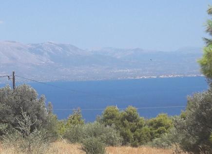 Land for 290 000 euro on Eretria, Greece