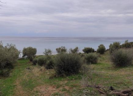 Land for 600 000 euro in Sani, Greece
