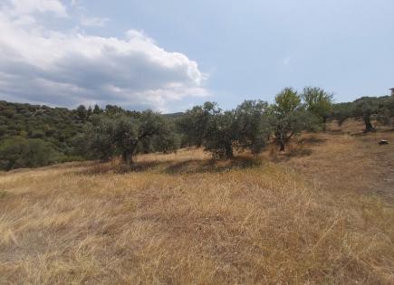 Land for 750 000 euro in Sithonia, Greece