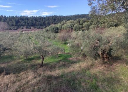 Land for 900 000 euro in Sithonia, Greece