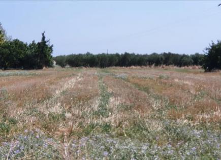 Land for 150 000 euro in Sani, Greece
