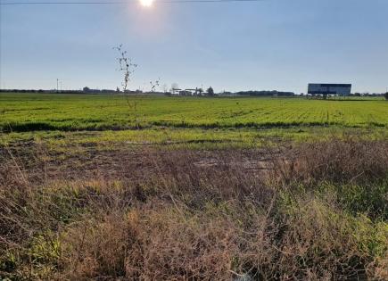 Land for 500 000 euro in Sani, Greece