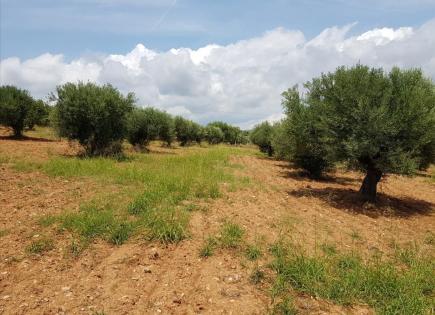 Land for 370 000 euro in Sithonia, Greece